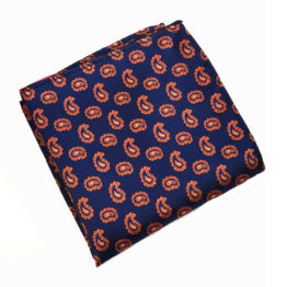 Dark Blue and Red Fashion Paisley Pocket Square